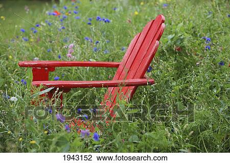 Stock Image - Wildflowers Surround A Red Adirondack Chair In The Tall Grass; Troutdale Oregon United States Of America. Fotosearch
