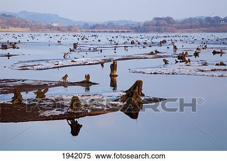 Stock Photography - Winter At The Gearagh Near Macroom; County Cork Ireland. Fotosearch