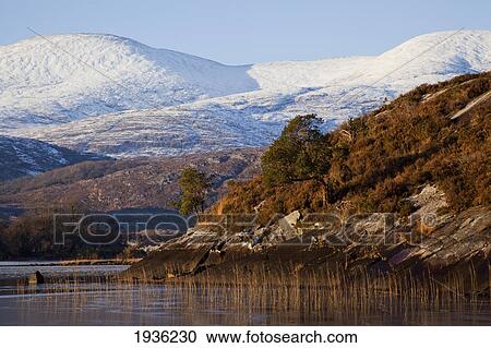 Stock Image - Winter In Killarney National Park; Killarney County Kerry Ireland. Fotosearch