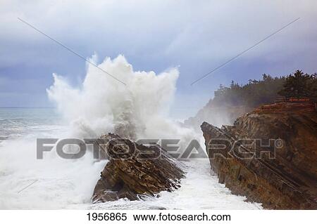 winter storm at shore acres state park along the oregon coast; oregon united states of america View Large Photo Image Stock Photography - winter storm at shore acres state park along the oregon coast; oregon united states of america. Fotosearch