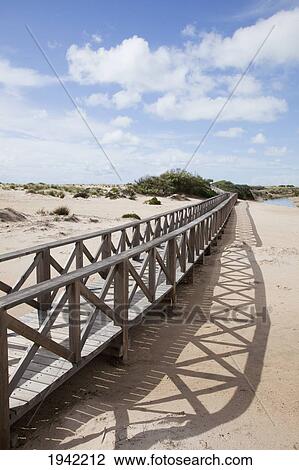 Stock Image - Wooden Walkway In The Dunes Near San Fernando; Andalucia Spain. Fotosearch