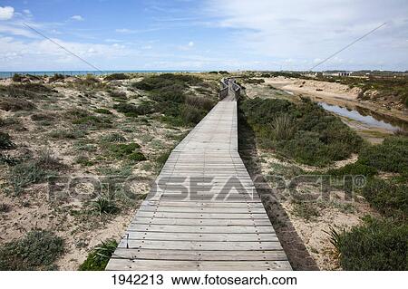 Wooden Walkway In The Dunes Near San Fernando; Andalucia Spain View Large Photo Image Stock Image - Wooden Walkway In The Dunes Near San Fernando; Andalucia Spain. Fotosearch