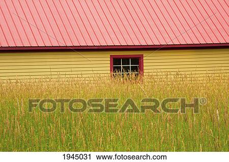 yellow shed with a red roof and a hay field; ville de lac brome quebec canada View Large Photo Image Stock Image - yellow shed with a red roof and a hay field; ville de lac brome quebec canada. Fotosearch