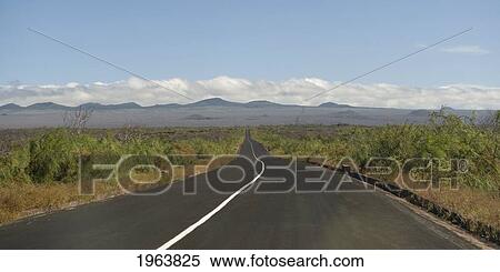 a highway on santa cruz island; galapagos, equador View Large Photo Image Stock Photography - a highway on santa cruz island; galapagos, equador. Fotosearch