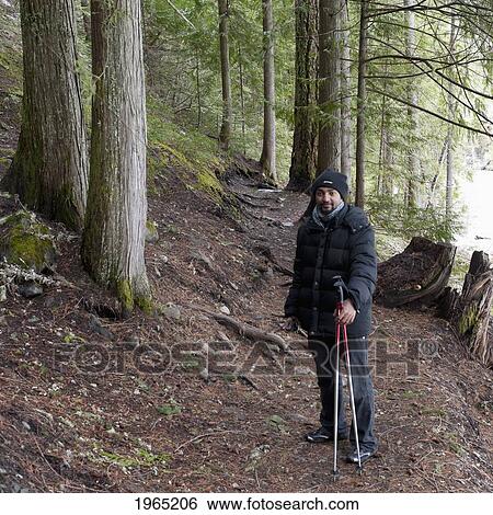 Stock Photograph - a hiker using trekking poles during a hike through the forest in jasper national park; alberta canada. Fotosearch