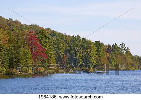 a lake and early autumn colours; ville de lac brome, quebec, canada View Large Photo Image Stock Photograph - a lake and early autumn colours; ville de lac brome, quebec, canada. Fotosearch