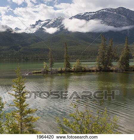 a lake and the rocky mountains; jasper, alberta, canada View Large Photo Image Stock Image - a lake and the rocky mountains; jasper, alberta, canada. Fotosearch