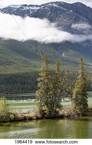 a lake and the rocky mountains; jasper, alberta, canada View Large Photo Image Stock Photo - a lake and the rocky mountains; jasper, alberta, canada. Fotosearch