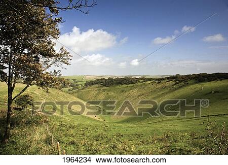 a landscape of rolling hills, a valley and trees; south downs, sussex, england View Large Photo Image Picture - a landscape of rolling hills, a valley and trees; south downs, sussex, england. Fotosearch