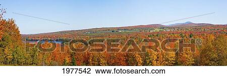 a landscape with autumn colours; selby lake quebec canada View Large Photo Image Stock Image - a landscape with autumn colours; selby lake quebec canada. Fotosearch