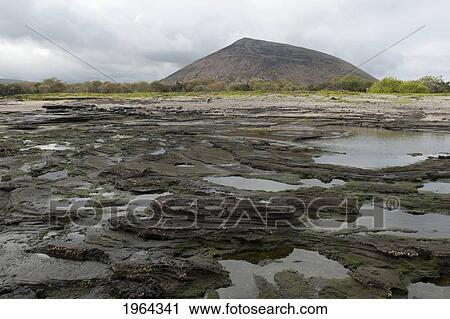 a landscape with molten rock and shallow water; santiago island, galapagos, equador View Large Photo Image Stock Image - a landscape with molten rock and shallow water; santiago island, galapagos, equador. Fotosearch
