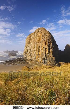 Picture - a large rock formation at seal rock in seal rock state recreation site; oregon united states of america. Fotosearch