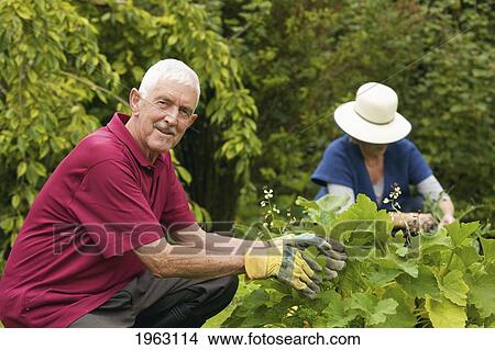 a man and woman gardening together; naas, county kildare, ireland View Large Photo Image Picture - a man and woman gardening together; naas, county kildare, ireland. Fotosearch