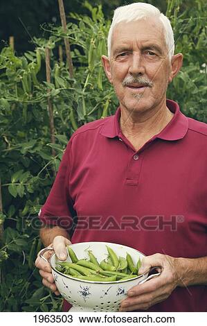 a man holding a bowl of pea pods; naas, county kildare, ireland View Large Photo Image Stock Image - a man holding a bowl of pea pods; naas, county kildare, ireland. Fotosearch