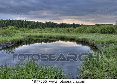 a pond at sunset in prince albert national park; saskatchewan alberta View Large Photo Image Stock Photography - a pond at sunset in prince albert national park; saskatchewan alberta. Fotosearch