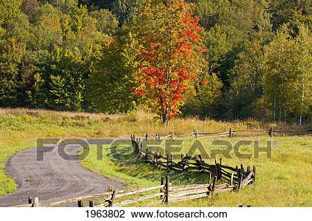a rail fence along a road and autumn foliage; ville de lac brome, quebec, canada View Large Photo Image Stock Image - a rail fence along a road and autumn foliage; ville de lac brome, quebec, canada. Fotosearch