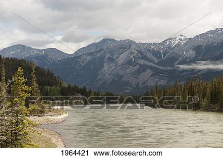 a river and the rocky mountains; jasper, alberta, canada View Large Photo Image Stock Image - a river and the rocky mountains; jasper, alberta, canada. Fotosearch