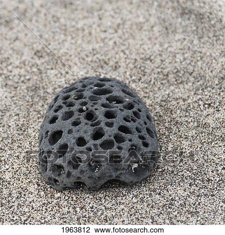 Stock Image - a rock with holes through it sitting on the beach; galapagos, equador. Fotosearch