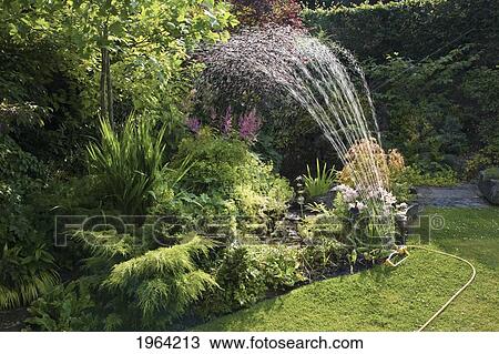 a sprinkler watering a beautifully landscaped yard; dore, sheffield, england View Large Photo Image Stock Image - a sprinkler watering a beautifully landscaped yard; dore, sheffield, england. Fotosearch