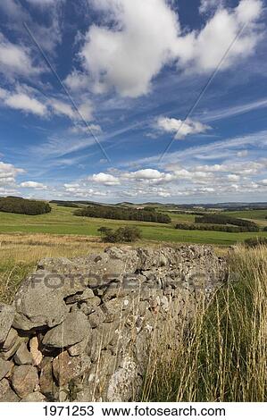 Stock Image - a stone fence in a rural area; northumberland england. Fotosearch