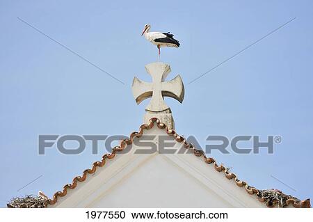 a stork sitting on a cross on the apex of the roof of a church; faro portugal View Large Photo Image Stock Image - a stork sitting on a cross on the apex of the roof of a church; faro portugal. Fotosearch