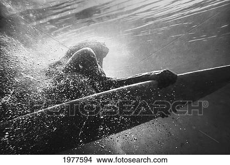 a woman on a surfboard under the water; tarifa cadiz andalusia spain View Large Photo Image Picture - a woman on a surfboard under the water; tarifa cadiz andalusia spain. Fotosearch