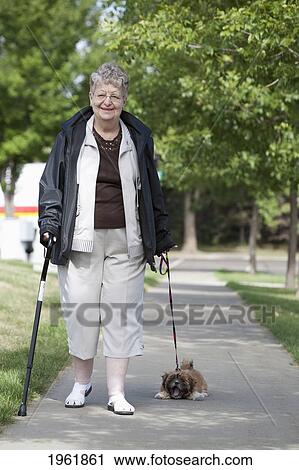 a woman tries to walk her small dog as it resists going for a walk; edmonton, alberta, canada View Large Photo Image Stock Image - a woman tries to walk her small dog as it resists going for a walk; edmonton, alberta, canada. Fotosearch