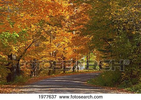 Stock Photo - autumn colours and a country road; sutton junction quebec canada. Fotosearch