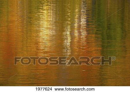 Picture - autumn colours reflected in sugarloaf pond; knowlton's landing quebec canada. Fotosearch