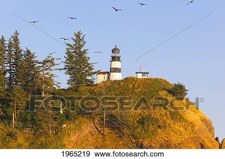 Stock Photo - birds in flight over cape disappointment lighthouse; ilwaco washington united states of america. Fotosearch