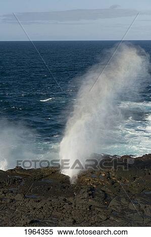 blow hole along the coast; galapagos, equador View Large Photo Image Stock Photography - blow hole along the coast; galapagos, equador. Fotosearch