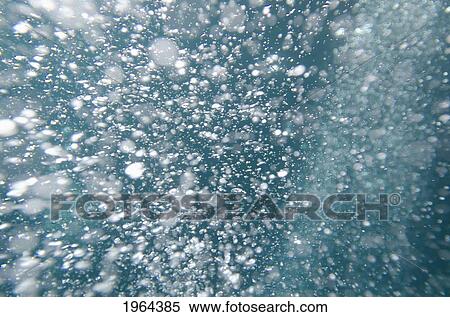 bubbles underwater; galapagos, equador View Large Photo Image Stock Photography - bubbles underwater; galapagos, equador. Fotosearch