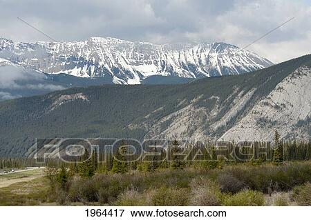 canadian rocky mountains; jasper, alberta, canada View Large Photo Image Stock Photo - canadian rocky mountains; jasper, alberta, canada. Fotosearch