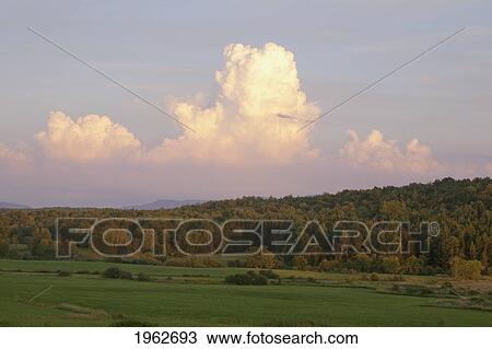 clouds in the sky above a forest at sunset; iron hill, quebec, canada View Large Photo Image Stock Image - clouds in the sky above a forest at sunset; iron hill, quebec, canada. Fotosearch