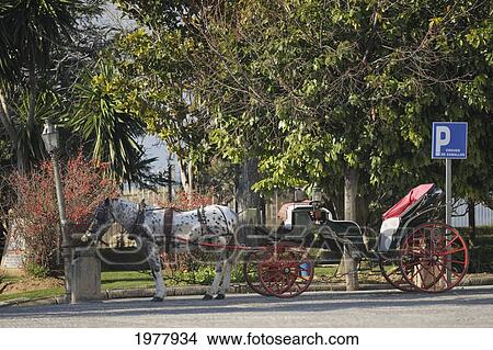 coches de caballos parking zone next to the plaza de toros; ronda andalucia spain View Large Photo Image Picture - coches de caballos parking zone next to the plaza de toros; ronda andalucia spain. Fotosearch