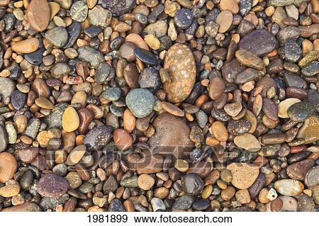 colourful rocks on the shore at cabo pulmo; baja california sur mexico View Large Photo Image Stock Photo - colourful rocks on the shore at cabo pulmo; baja california sur mexico. Fotosearch