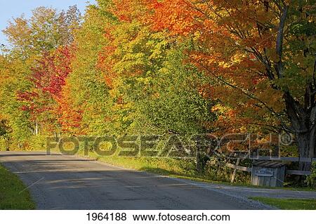 country road and autumn colours; ville de lac brome, quebec, canada View Large Photo Image Stock Photo - country road and autumn colours; ville de lac brome, quebec, canada. Fotosearch