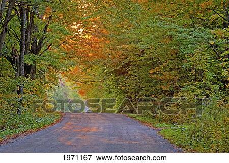 country road in autumn colours; east hill quebec canada View Large Photo Image Stock Photo - country road in autumn colours; east hill quebec canada. Fotosearch