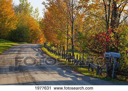 country road in autumn colours; west bolton quebec canada View Large Photo Image Stock Image - country road in autumn colours; west bolton quebec canada. Fotosearch