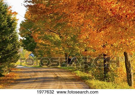 country road in autumn colours; west bolton quebec canada View Large Photo Image Stock Image - country road in autumn colours; west bolton quebec canada. Fotosearch