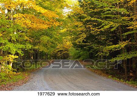 country road in autumn colours; west bolton quebec canada View Large Photo Image Stock Photo - country road in autumn colours; west bolton quebec canada. Fotosearch
