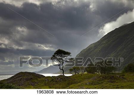 Stock Photo - dark clouds over a landscape along the coast; ardnamurchan, argyll, scotland. Fotosearch