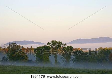 early morning fog at sunrise; ville de lac brome, quebec, canada View Large Photo Image Stock Photo - early morning fog at sunrise; ville de lac brome, quebec, canada. Fotosearch