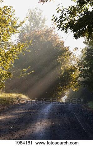 early morning light and mist on a country road; ville de lac brome, quebec, canada View Large Photo Image Stock Image - early morning light and mist on a country road; ville de lac brome, quebec, canada. Fotosearch
