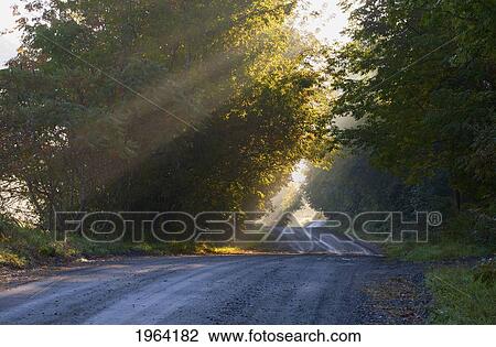 Stock Image - early morning light and mist on a country road; ville de lac brome, quebec, canada. Fotosearch