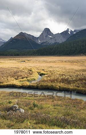 engadine meadow in kananaskis provincial park; alberta canada View Large Photo Image Stock Image - engadine meadow in kananaskis provincial park; alberta canada. Fotosearch