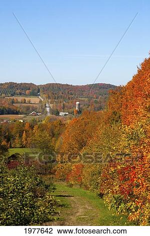 farmland in autumn; frelighsburg quebec canada View Large Photo Image Stock Image - farmland in autumn; frelighsburg quebec canada. Fotosearch
