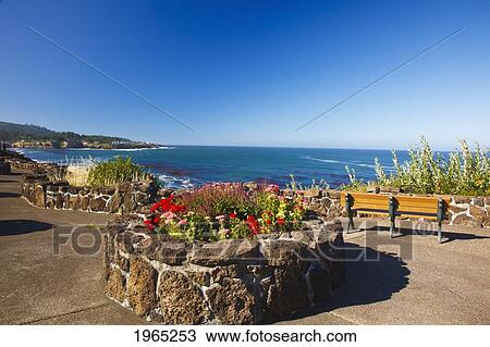 flowers and benches along the coast; depoe bay oregon united states of america View Large Photo Image Stock Image - flowers and benches along the coast; depoe bay oregon united states of america. Fotosearch