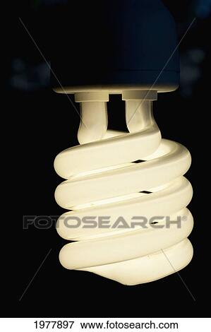 fluorescent lightbulb; prachuap kiri khan prachuap province thailand View Large Photo Image Stock Photo - fluorescent lightbulb; prachuap kiri khan prachuap province thailand. Fotosearch