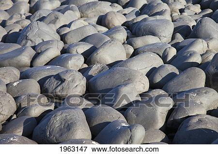 grey rocks on the ground; northumberland, england View Large Photo Image Stock Photo - grey rocks on the ground; northumberland, england. Fotosearch